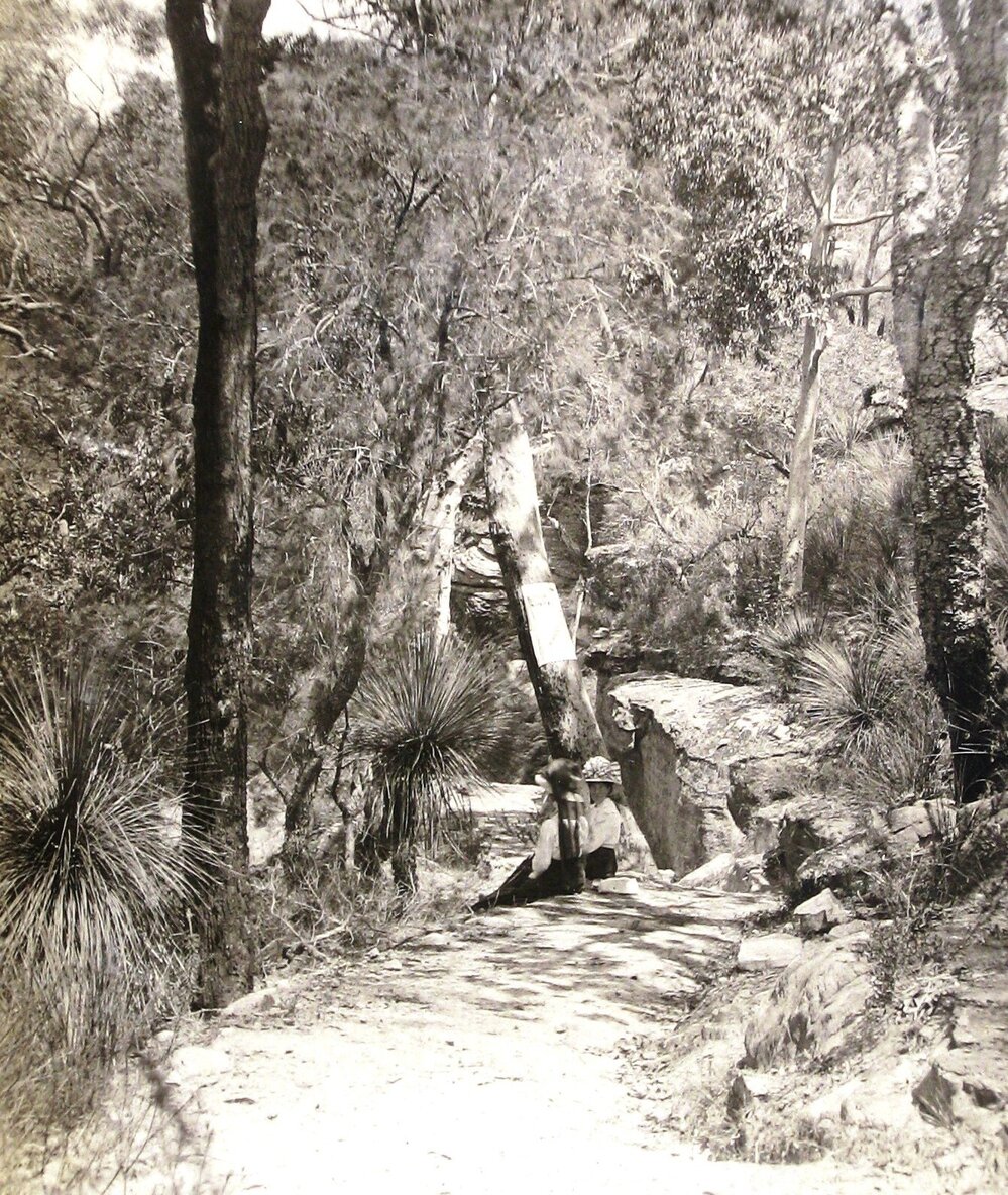 Wray family picnic day in Kuring-gai