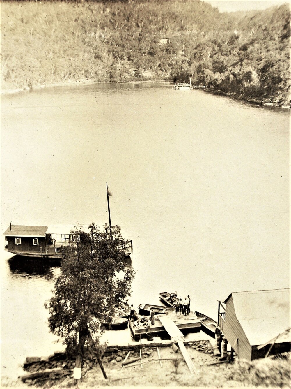 Wray family picnic day in Kuring-gai