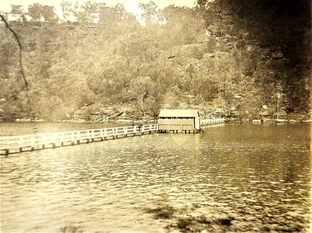 Wray family picnic day in Kuring-gai