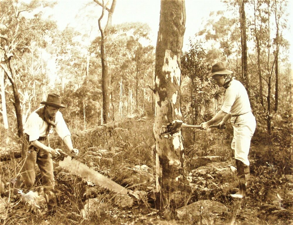 Bush workers tableau