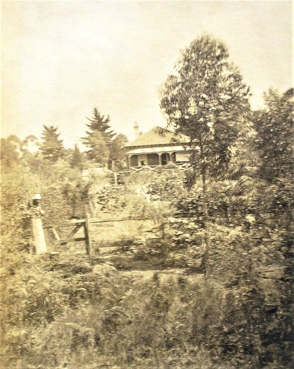 'Derry' Sutherland Road, Beecroft