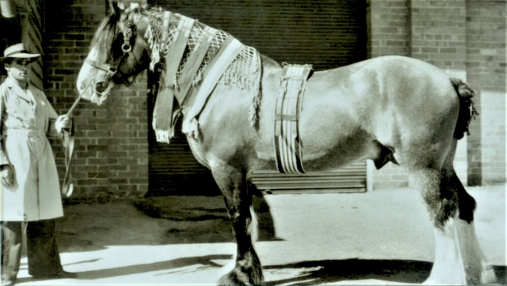 Jim Saunders and Horse