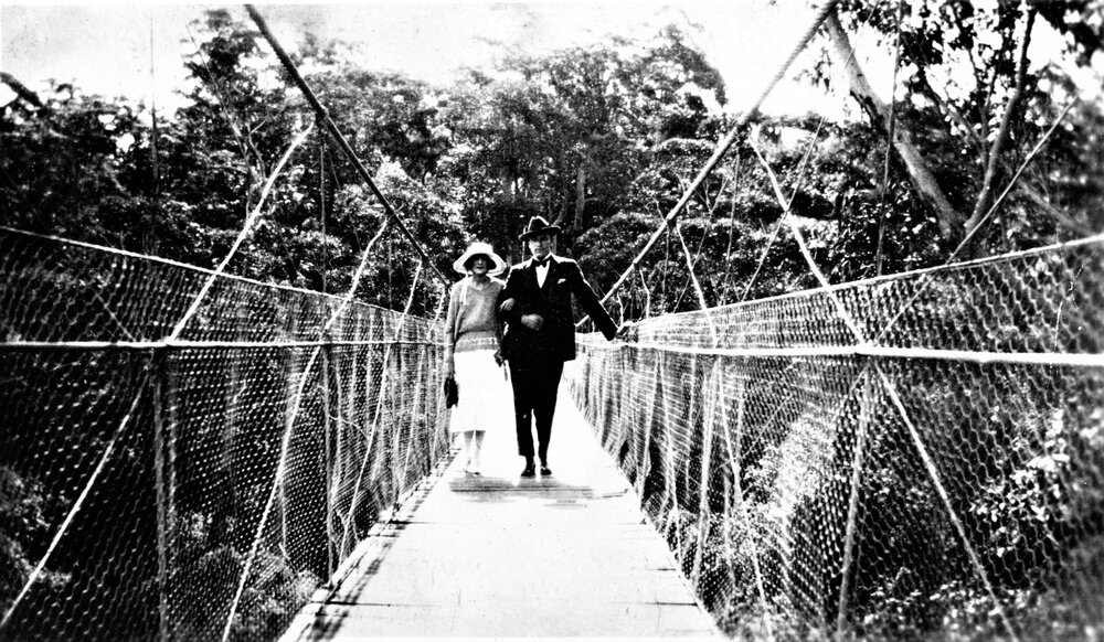 Mt Wilga suspension bridge