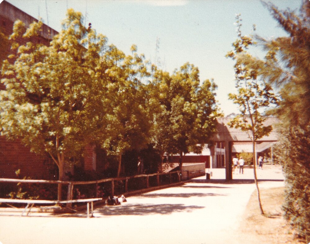 Galston High School, Main entrance path 1981