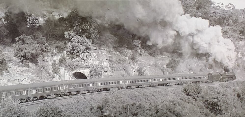 Newcastle Express en-route through Cowan