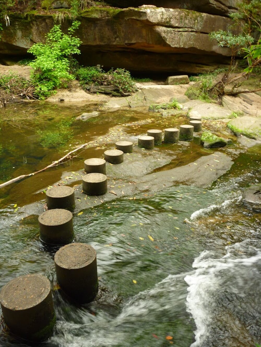 Stepping stones at Fishponds