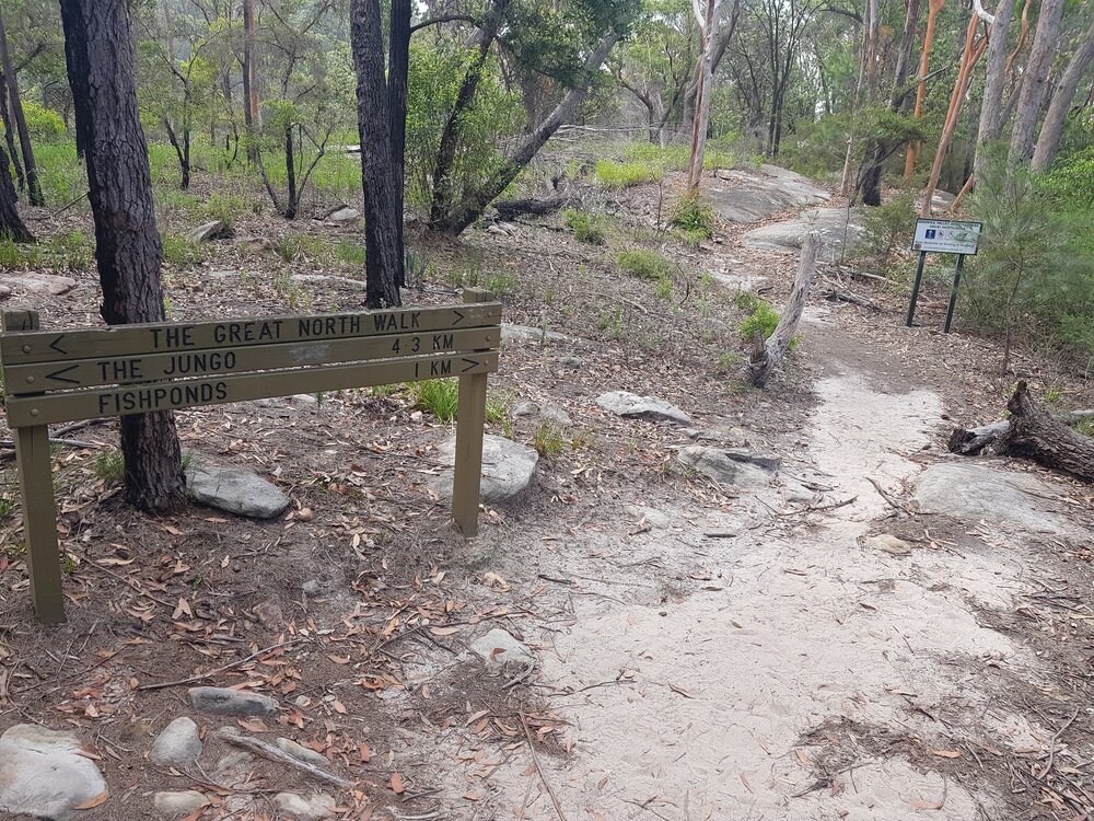 Great North Walk sign near Westleigh