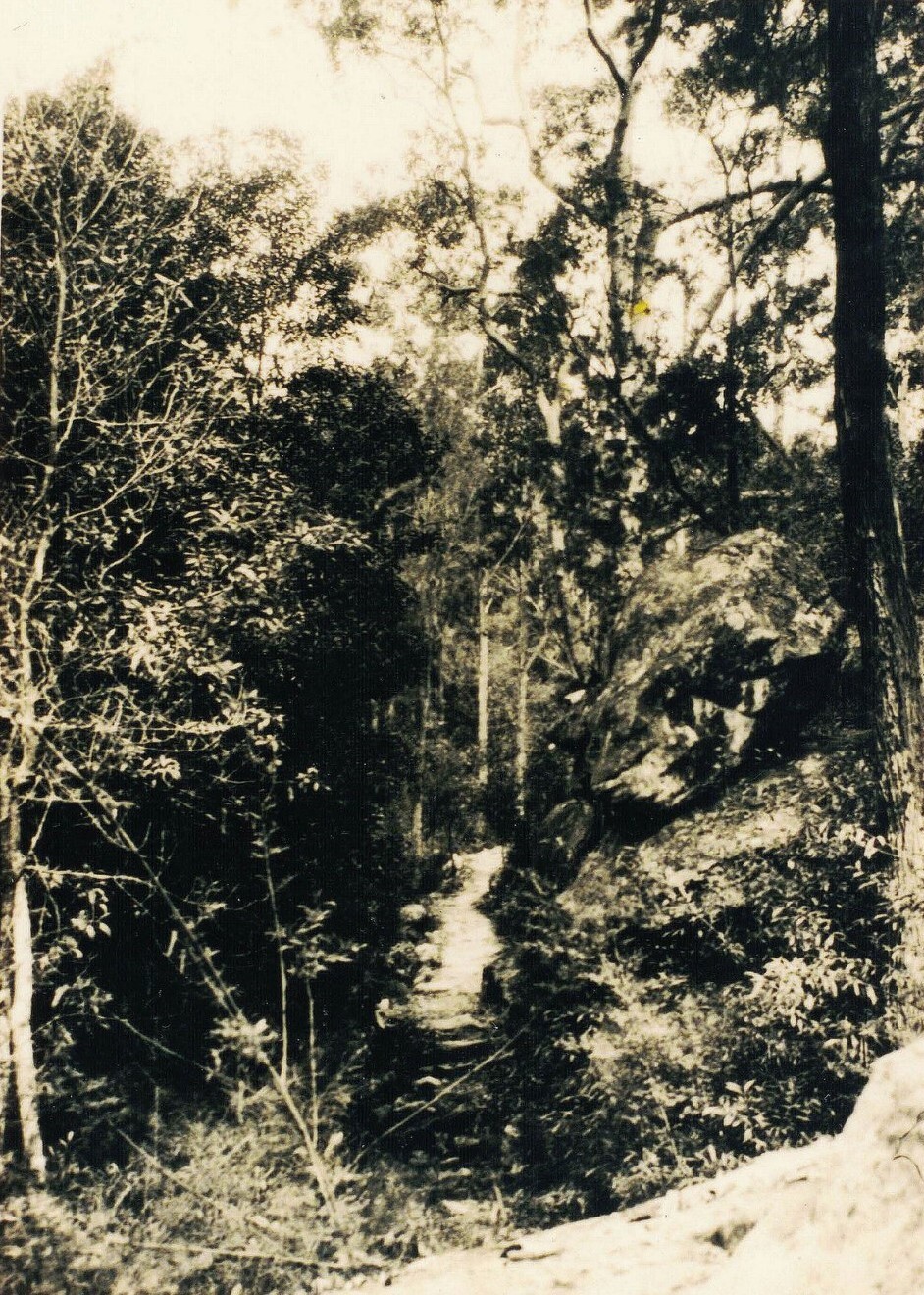 Lorna Pass, Thornleigh