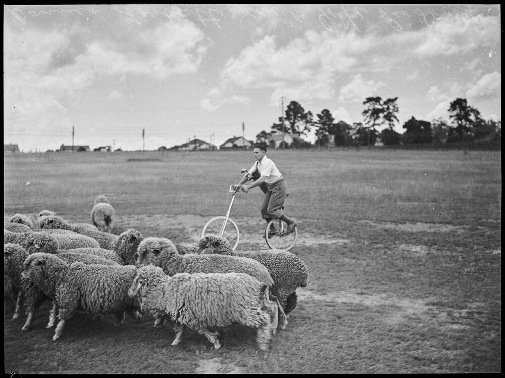 Banner Forbutt trick cyclist 1946