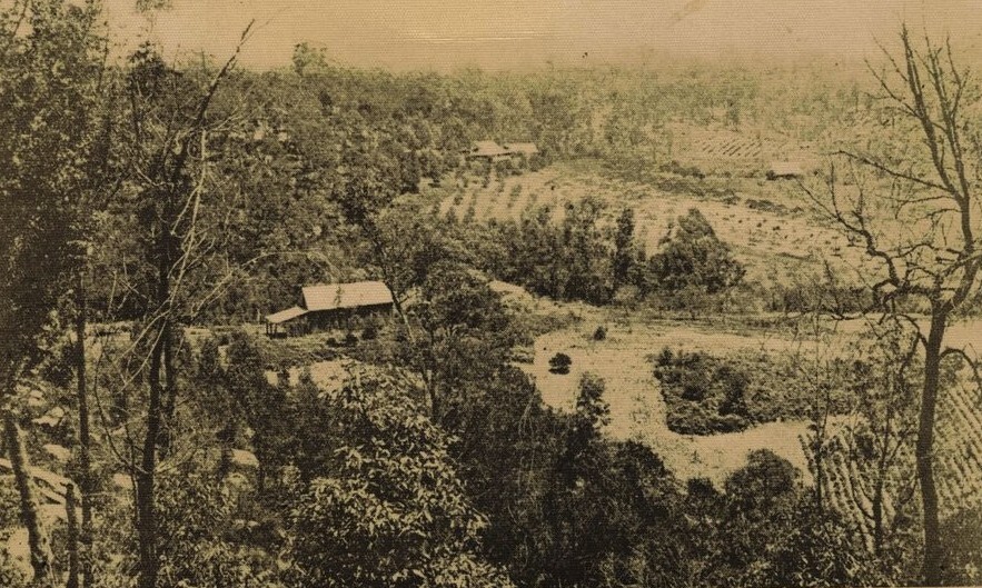 Old Mans Valley, Hornsby