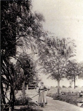 Mrs Fraser in her garden at Pennant Hills