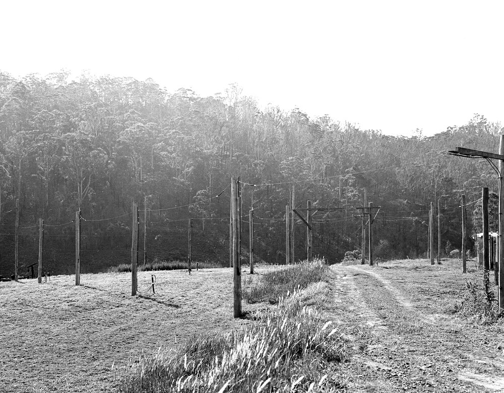 Radio astronomy field station, Hornsby, 1952