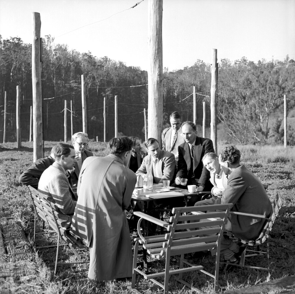 Scientists at radio astronomy field station, Hornsby, 1952