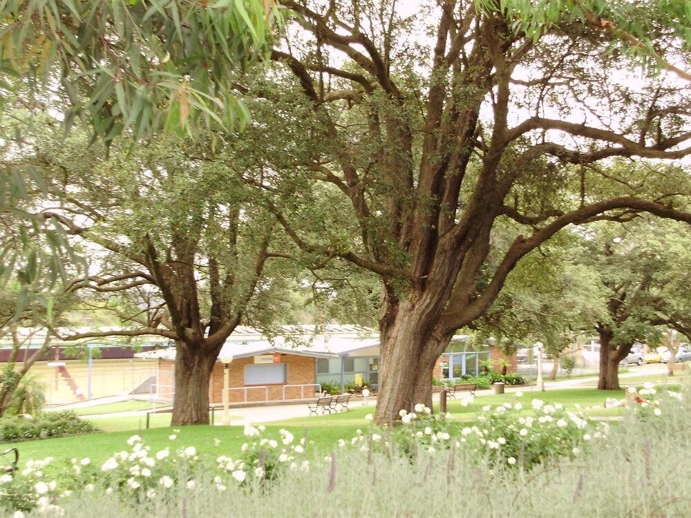 Hornsby Olympic Pool 1962 - 2010