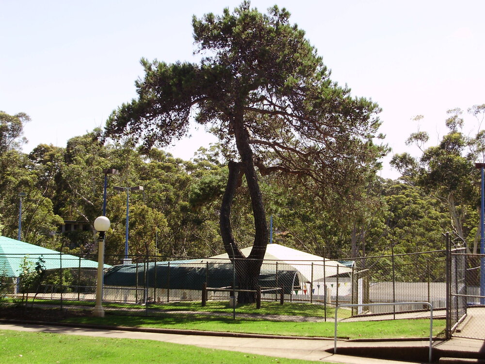 Hornsby Olympic Pool 1962 - 2010