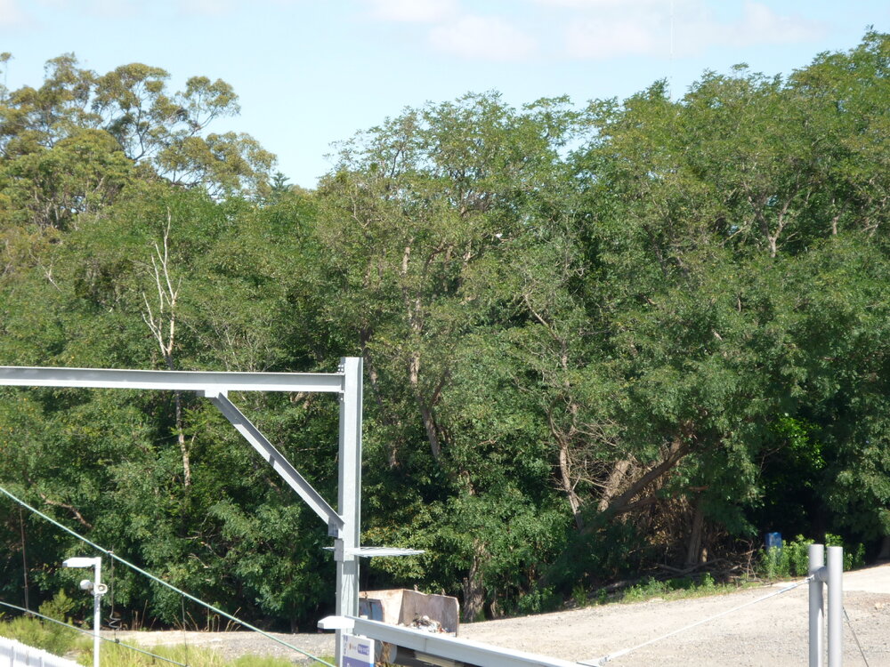 Start of the construction of the Berowra Railway commuter car park