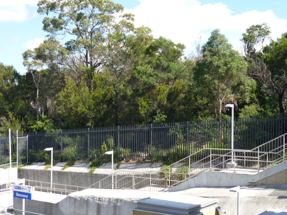Start of the construction of the Berowra Railway commuter car park
