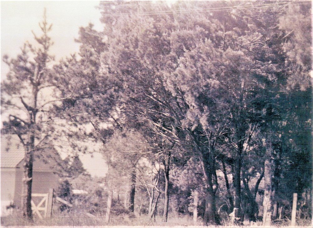 102 Berowra Waters Road, Berowra