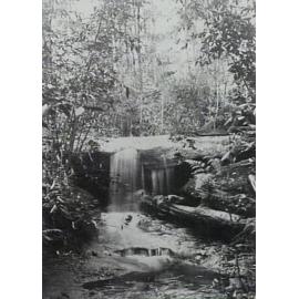 Upper Falls, Beecroft