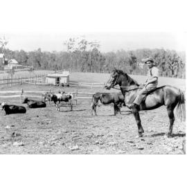 Allan James' dairy farm, Yardley and Clarke Roads, Waitara