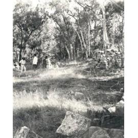 Old Convict Camp, Wisemans Ferry