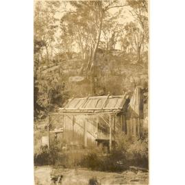 Mt Wilga slab hut, c. 1910