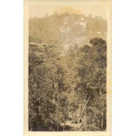 Old Mans Valley c.1920s