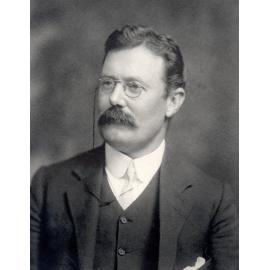 William Nixon, Councillor