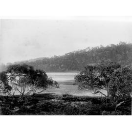 Mangrove flat, Hawkesbury River, c. 1880