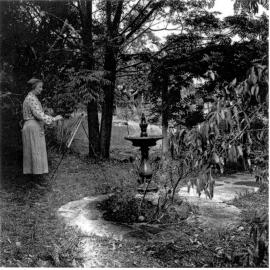 Margaret Preston painting in her garden.