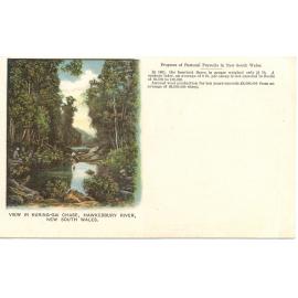 View in Ku-ring-gai Chase [postcard] c. 1905