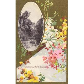 Turramurra [postcard]