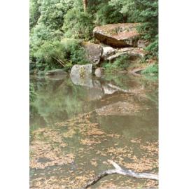 The Fishponds waterhole