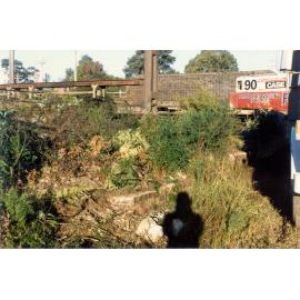 Footings of the first Clark Road bridge, demolished c. 1990