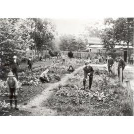 Beecroft Public School Garden