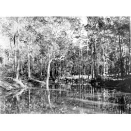 Devlins Creek, Epping, c. 1920
