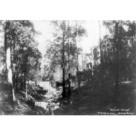 "The Main Pool, Bridge Gully, Mount Wilga", c. 1908