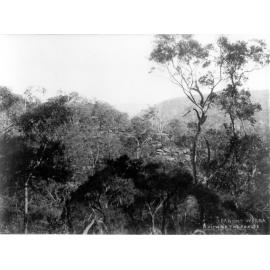 A view of the ranges from Mount Wilga, c. 1908