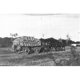 Wagon of bones on Ray Road, Epping