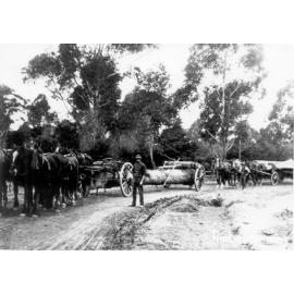 Timber drawing, Epping, c. 1900