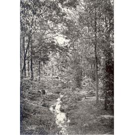 Creek scene near Ray Road, Epping, c. 1900