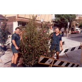 Plants in Florence Street Mall, Hornsby