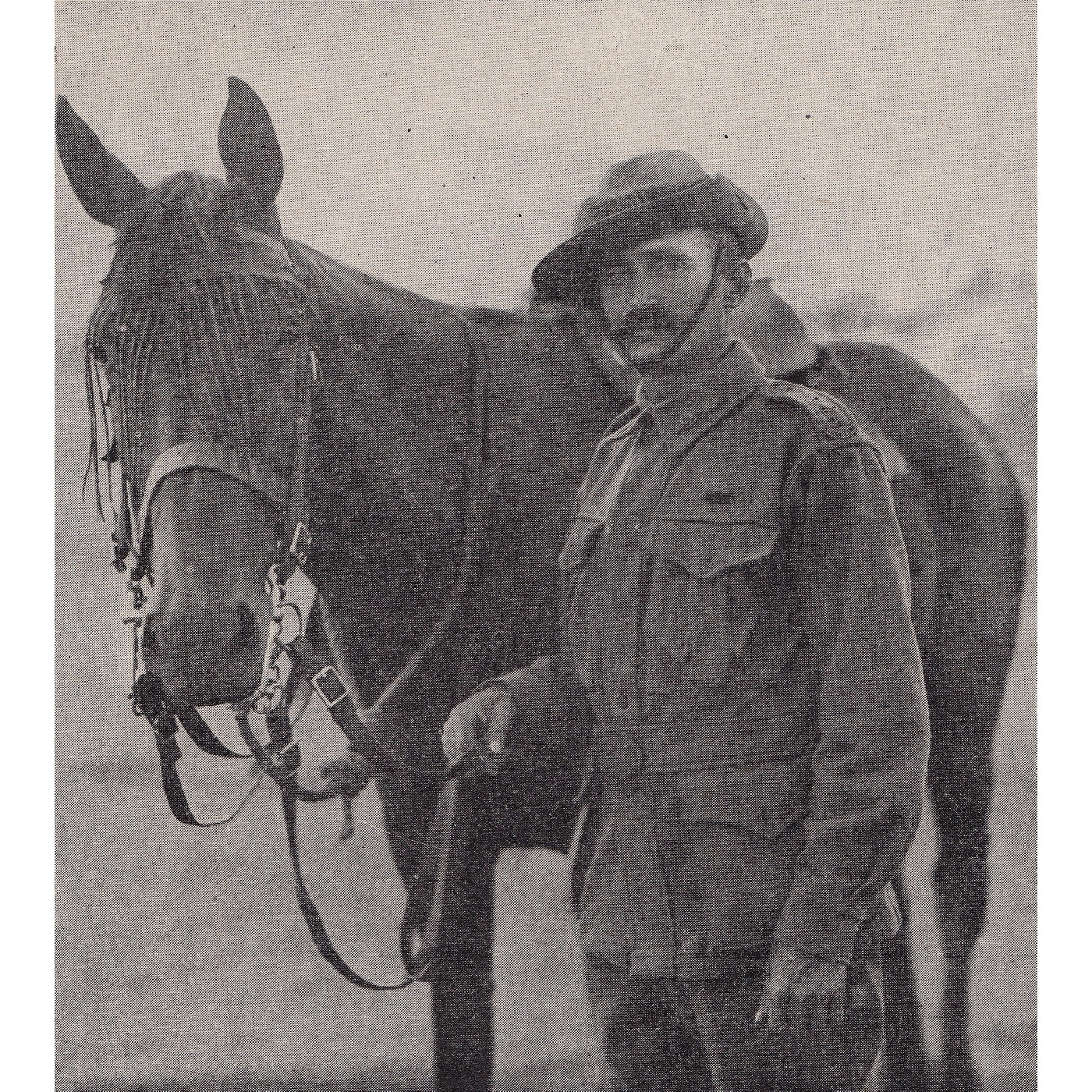 Sidney Ernest Parkes