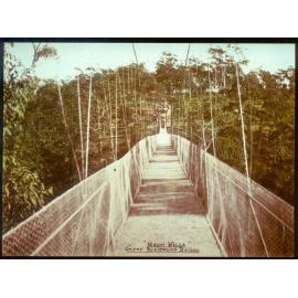 On the Mt Wilga Suspension Bridge