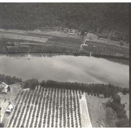 Citrus orchards on the Hawkesbury River