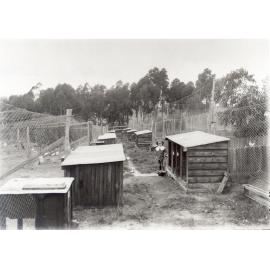 Brierley's poultry farm, Cheltenham