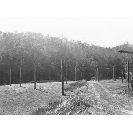Radio astronomy field station, Hornsby, c. 1950