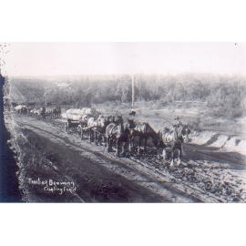 Timber drawing, Carlingford