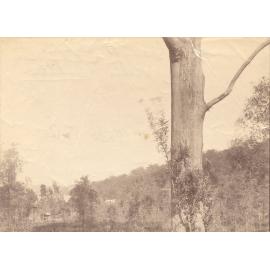 Dangar Island during the construction of First Hawkesbury River Railway Bridge