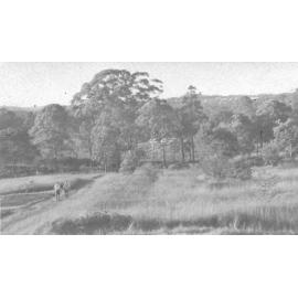 Presbyterian Fellowship Union property, Thornleigh.